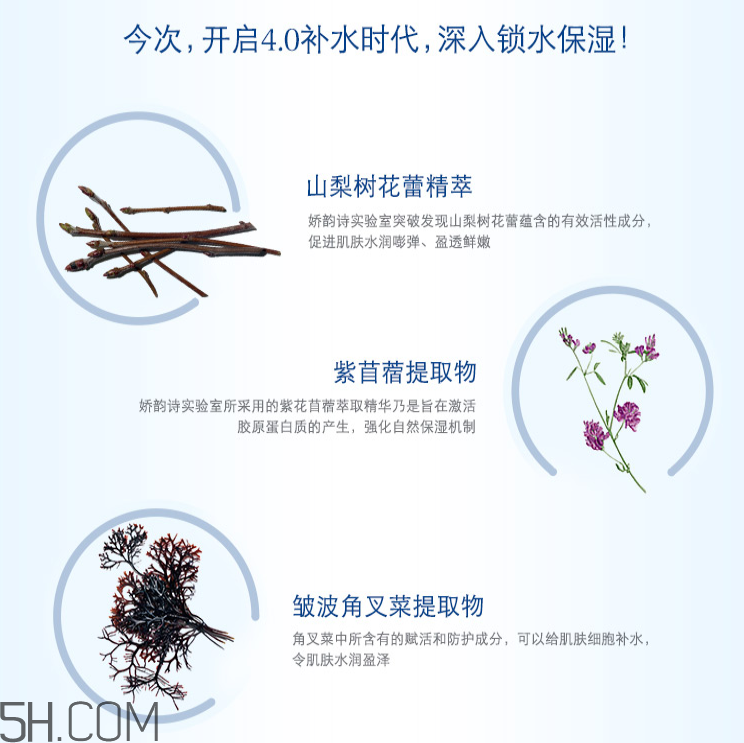 嬌韻詩(shī)恒潤(rùn)奇肌保濕精華液