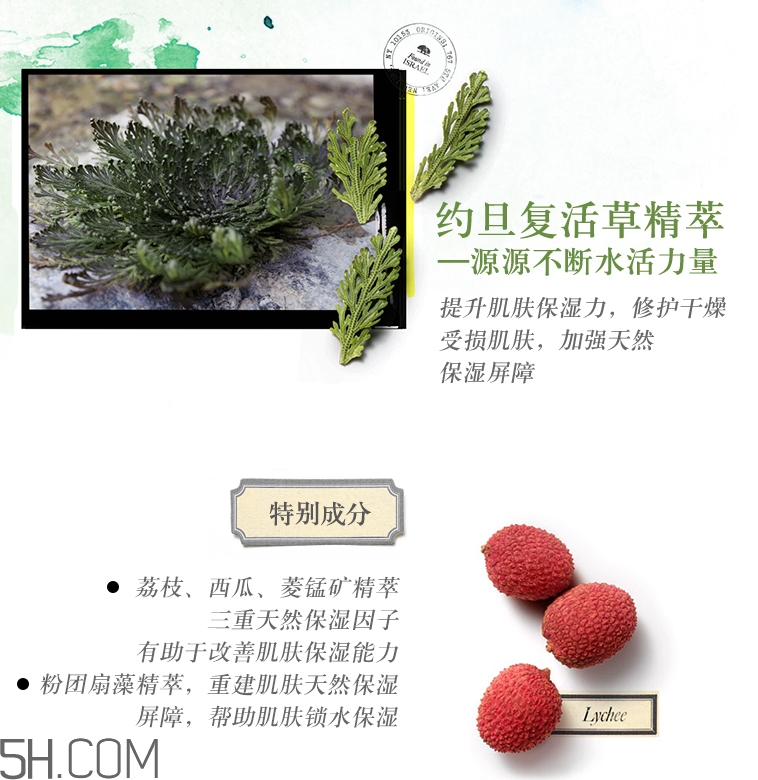 悅木之源復(fù)活草水潤(rùn)修護(hù)凝霜